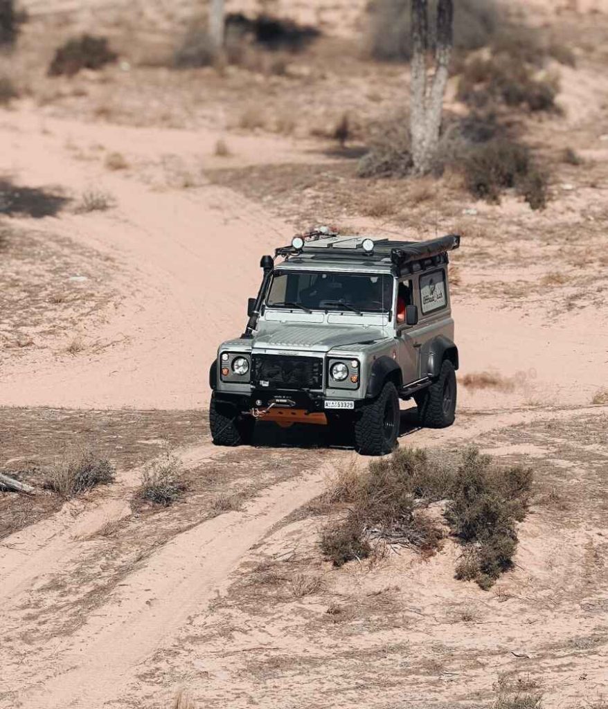 WhatsApp Image 2025-02-21 at 5.34.42 PM (3)